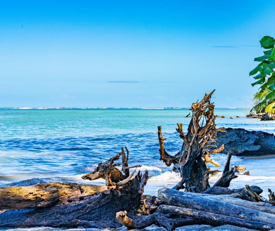 Beach inside Cahuita National Park