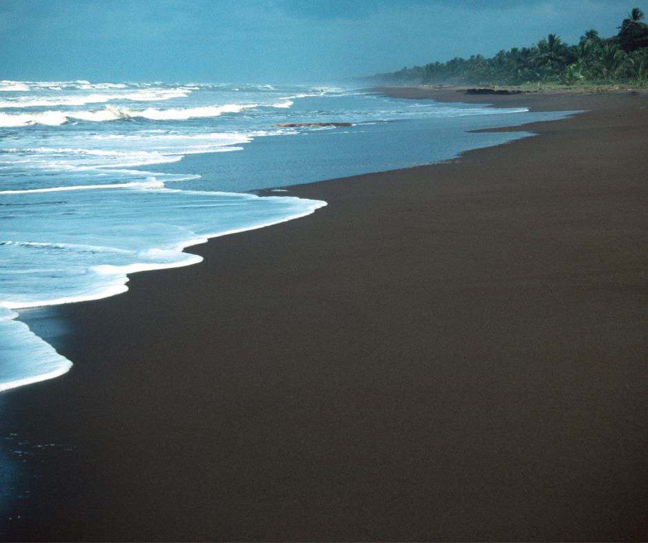 Black sand beach near Puerto Viejo