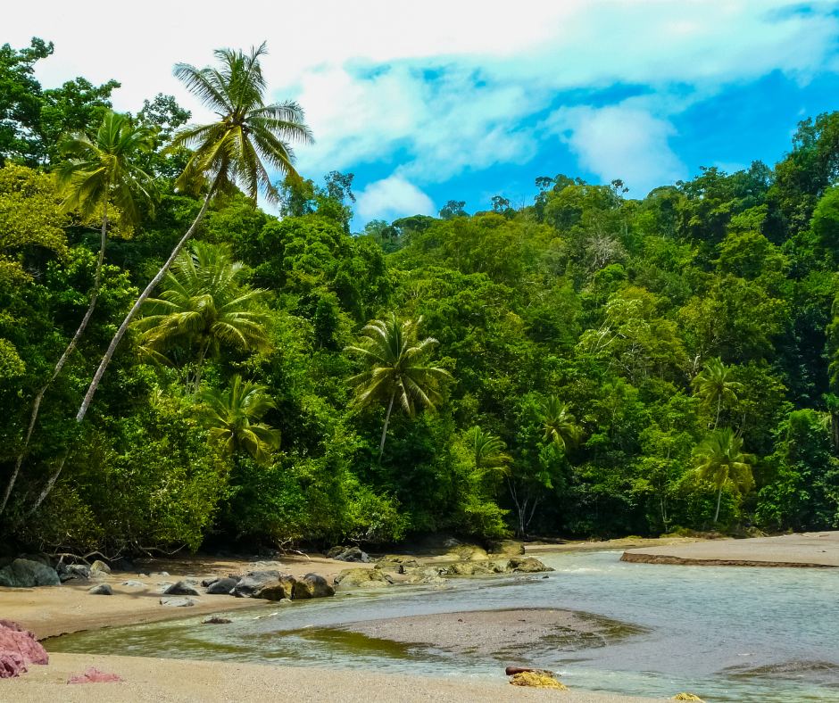 Corcovado National Park – Beach Walking in Corcovado & Marino Ballena, Costa Rica
