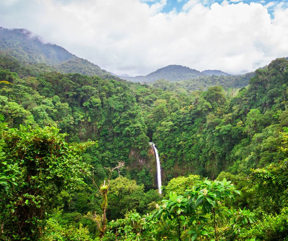 La Fortuna Waterfall surrounded by rainforest