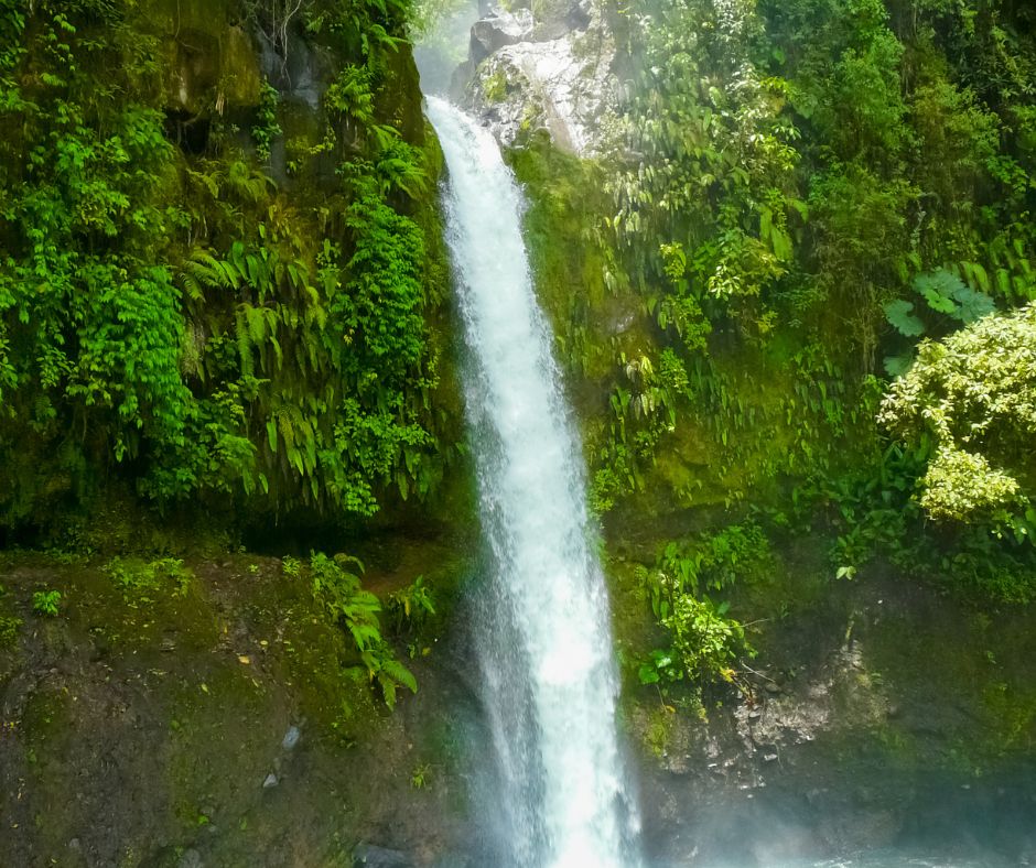 La Paz Waterfall Gardens in Alajuela, Costa Rica