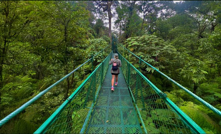 Walking across a hanging bridge in the Monteverde cloud forest